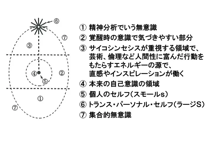 テキスト/トランスパーソナル心理学・精神医学 テキスト/トランスパーソナル心理学・精神医学 | B.W.スコットン