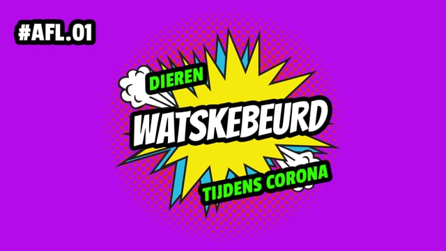 WATSKEBEURD - AFL 1: Dieren