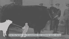 Revealing City Hall- John's Story