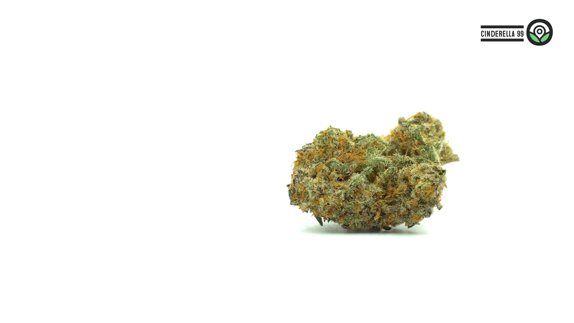 Cinderella 99 Feminized Cannabis Seeds