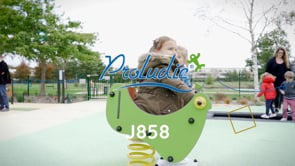 Face to Face J858 playgrounds moving equipment springers video