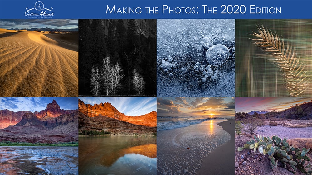 Watch Making the Photographs: The 2020 Edition Online | Vimeo On Demand ...
