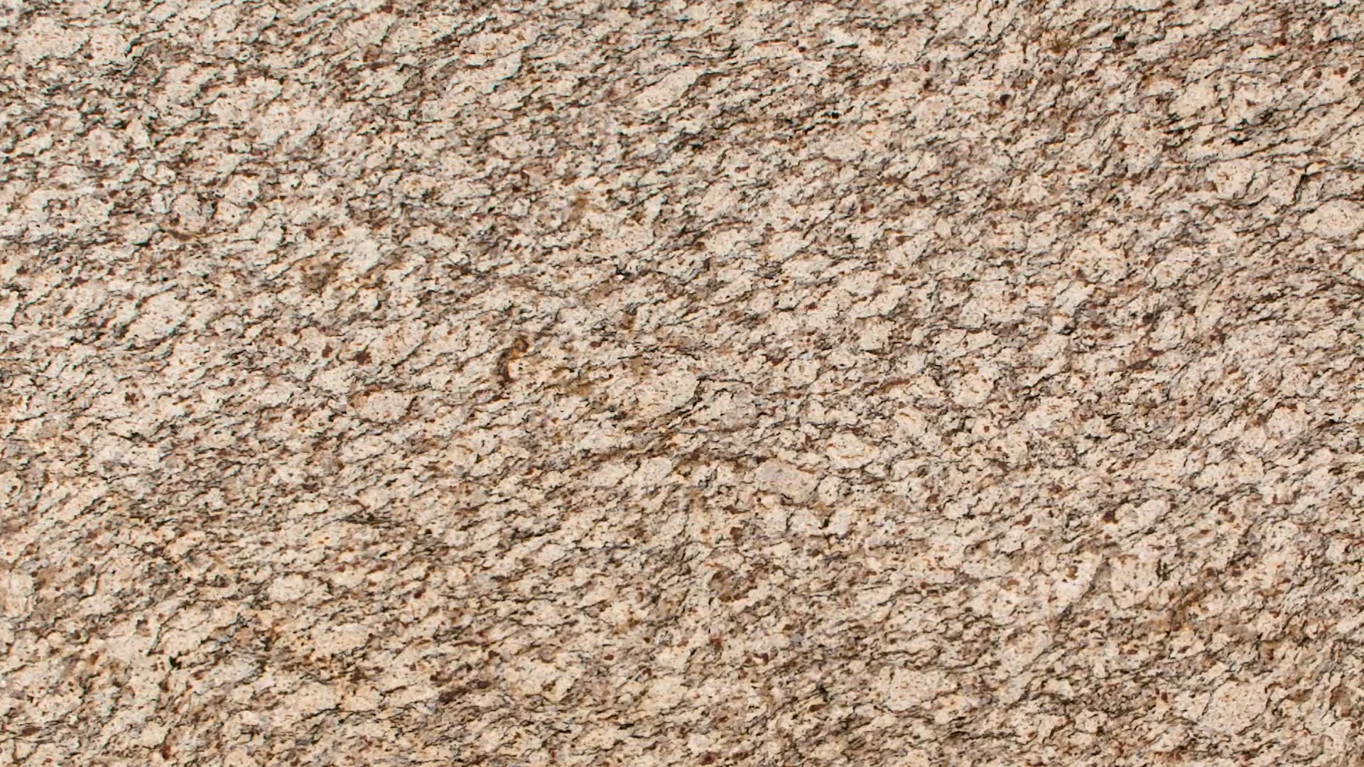 Santa Cecelia Granite - MSI Granite Countertops