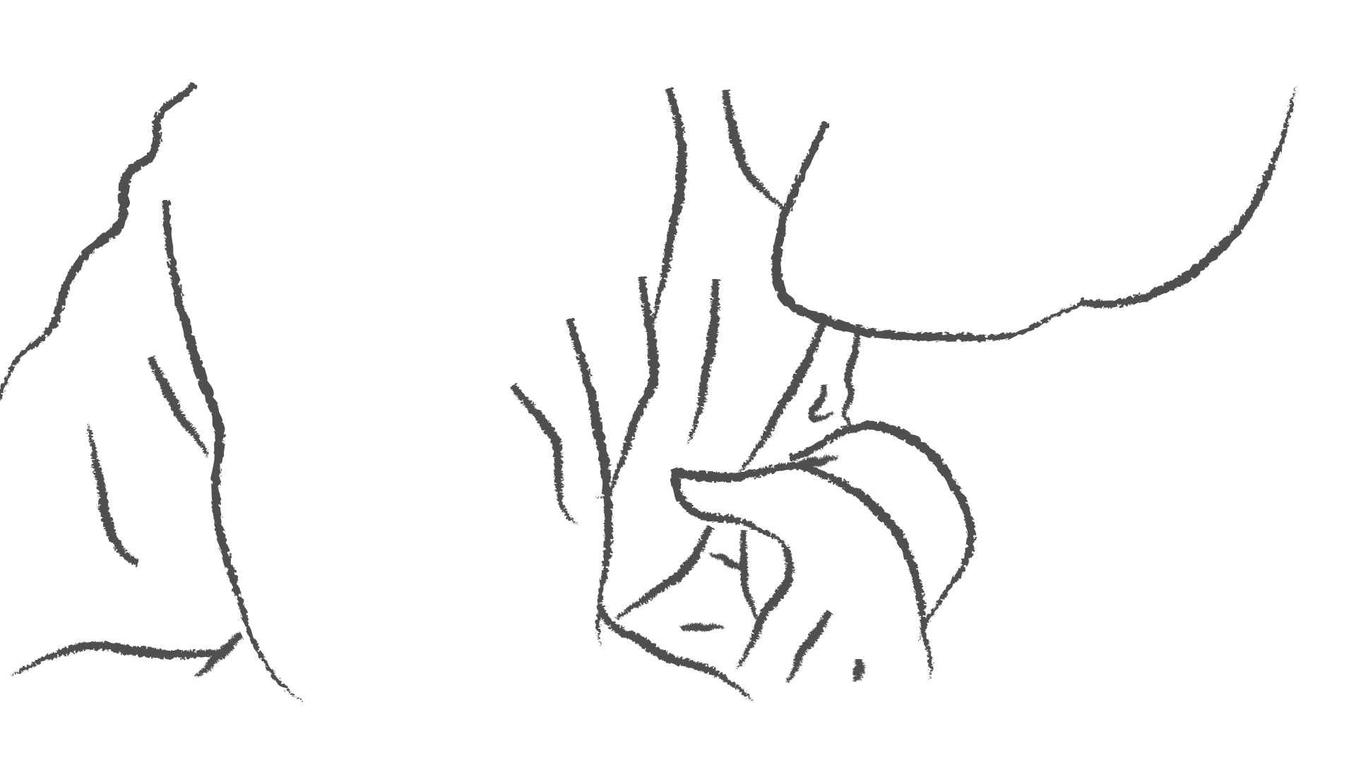 Dance Rotoscope WIP (2020)