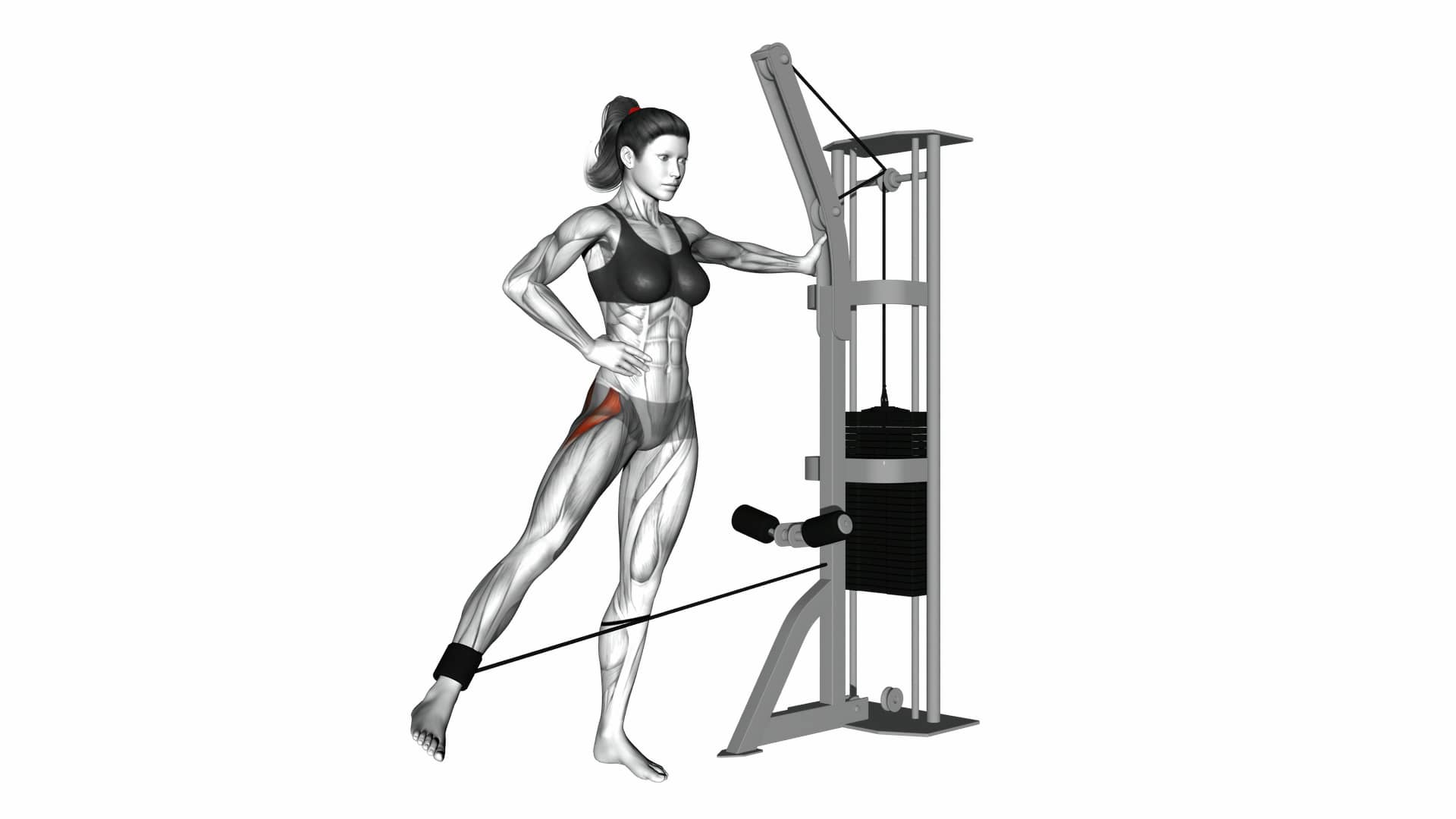 08791201Cablehipabduction(version2)_Hips on Vimeo