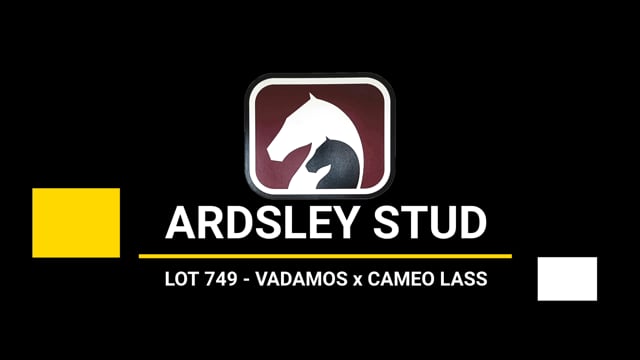 Lot 749