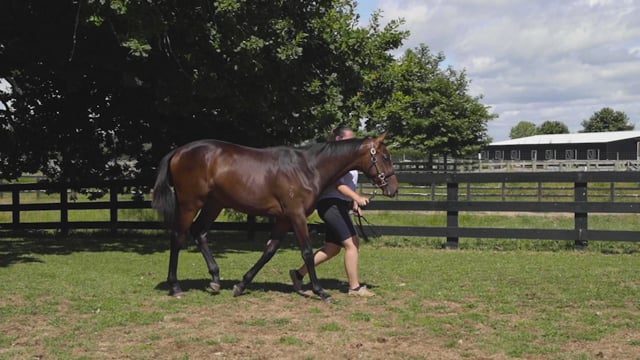 Lot 2