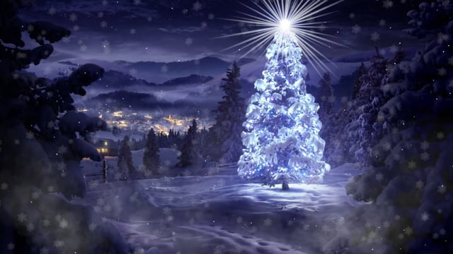 Tree Star Snow - Free video on Pixabay