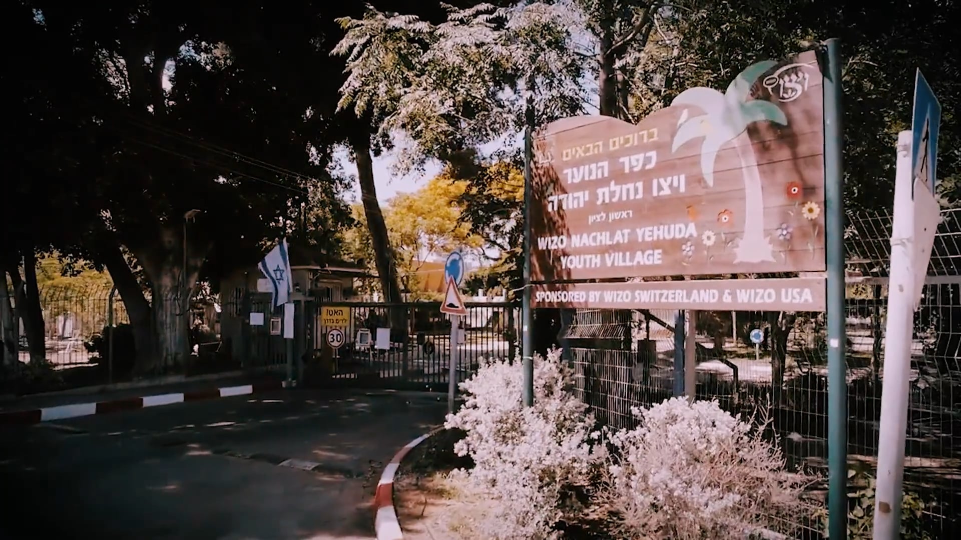 סרטון מגמות