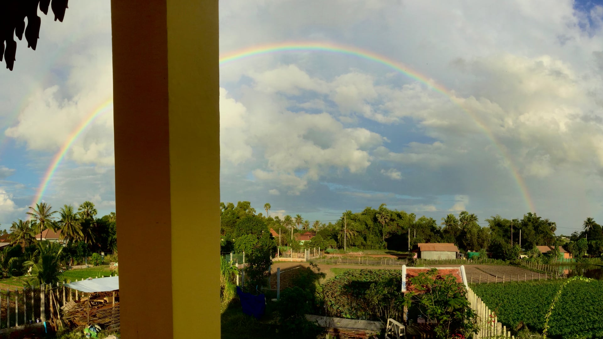 Rites for the Dead and Rainbow