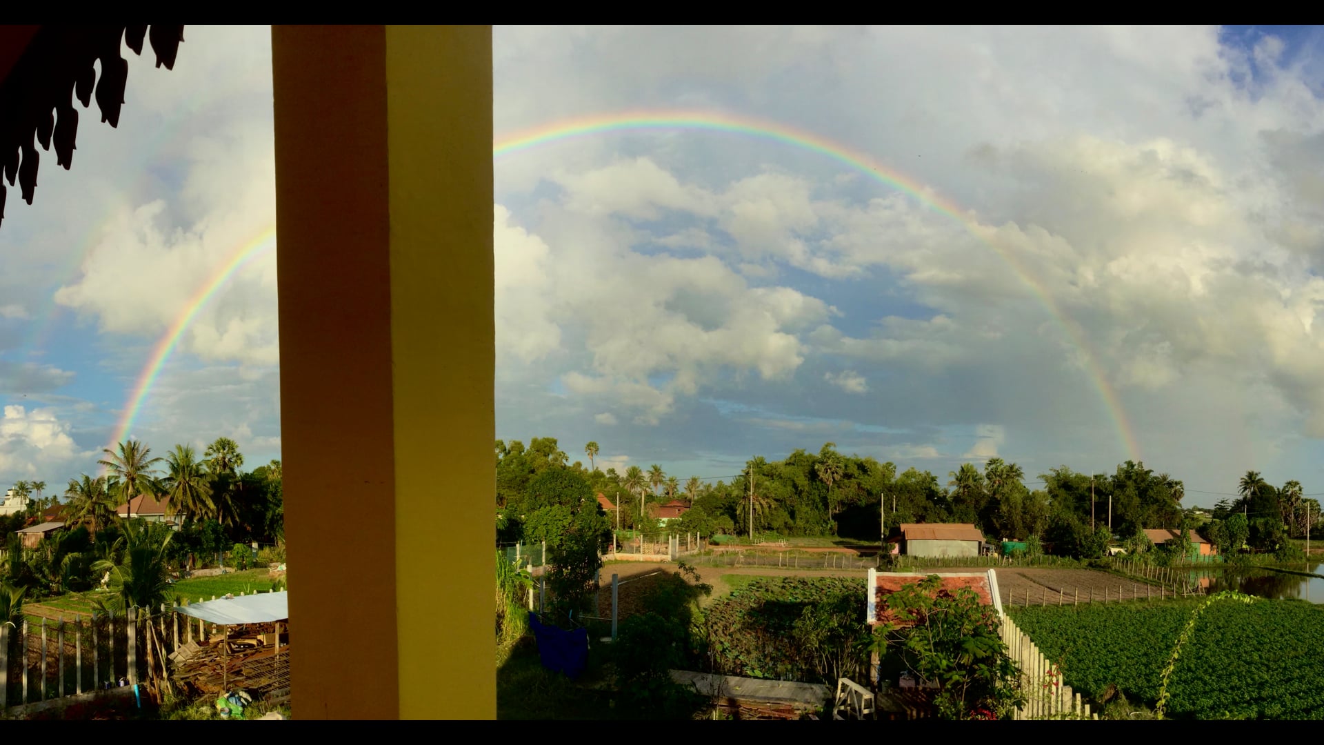 Rites for the Dead and Rainbow