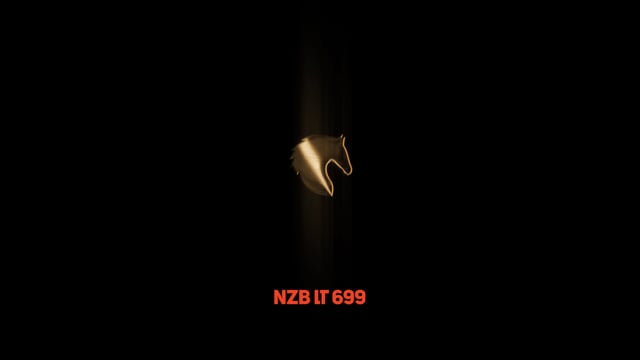 Lot 699