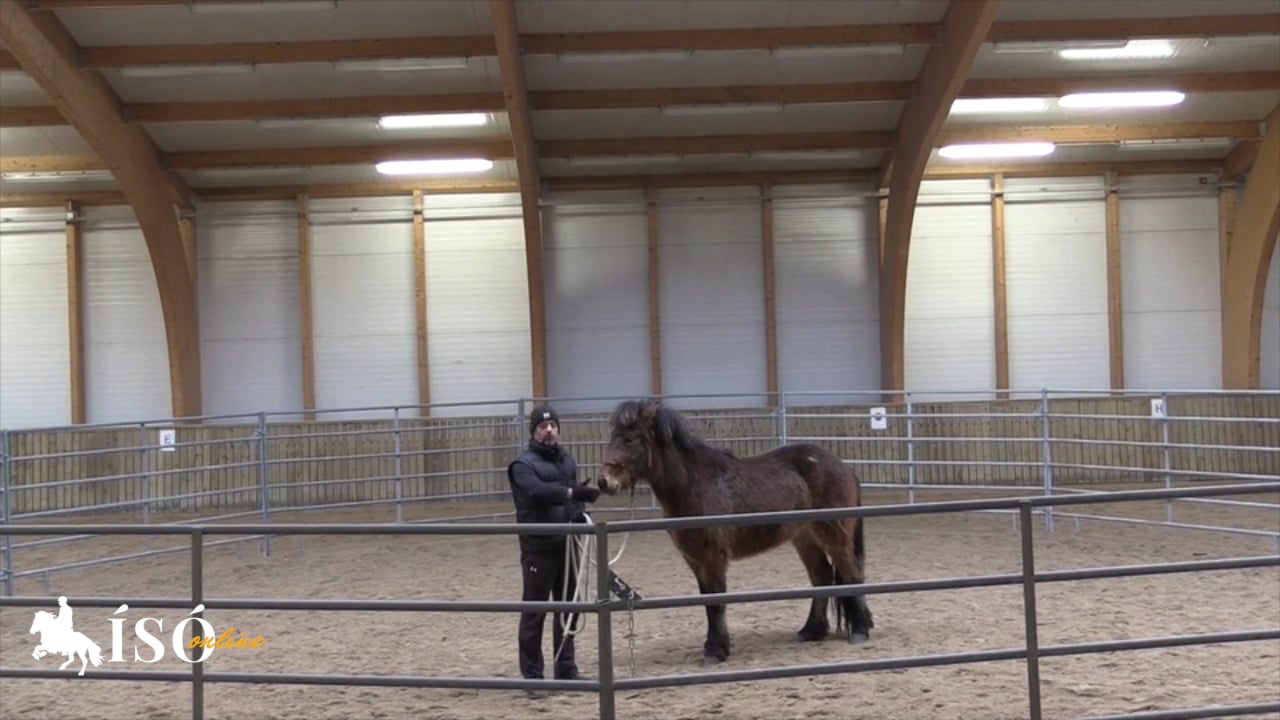 Development of Vörður, sending the horse around