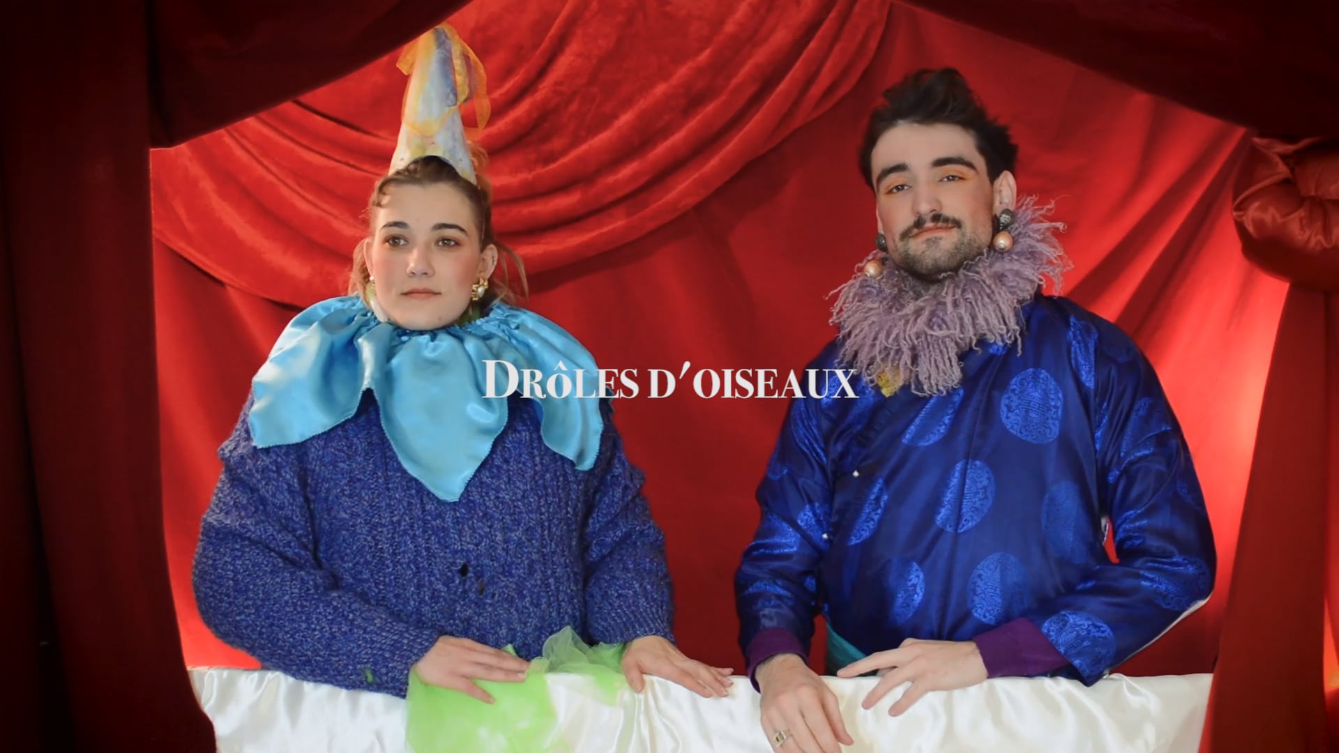 Drôles d'oiseaux