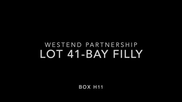 Lot 41