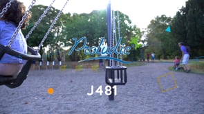 J481 Áreas de juegos juegos clásicos columpios vídeo