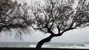 El temporal Filomena respecta el litoral empordanès