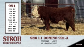 Lot #991 - SHR L1 DOMINO 991-A