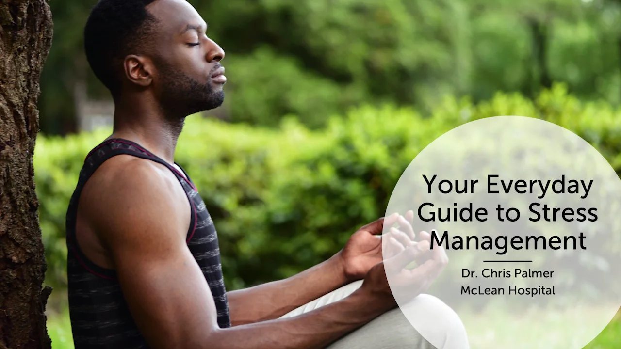 Stress: What You Need To Know | McLean Hospital