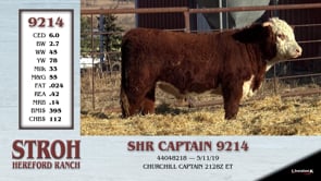 Lot #9214 - SHR CAPTAIN 9214