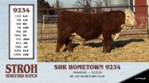 Lot #9234 - SHR HOMETOWN 9234
