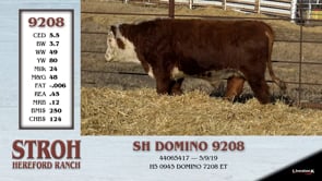 Lot #9208 - SH DOMINO 9208