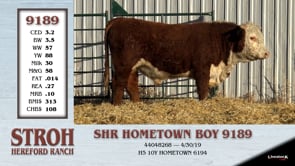 Lot #9189 - SHR HOMETOWN BOY 9189 ** OUT OF SALE **