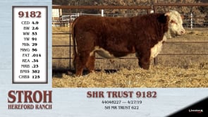 Lot #9182 - SHR TRUST 9182