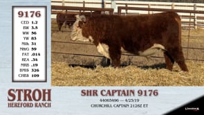 Lot #9176 - SHR CAPTAIN 9176