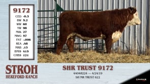 Lot #9172 - SHR TRUST 9172