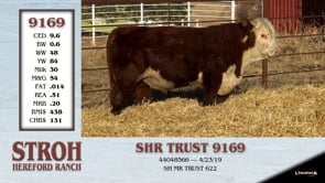 Lot #9169 - SHR TRUST 9169