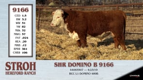 Lot #9166 - SHR DOMINO B 9166