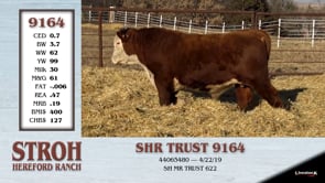Lot #9164 - SHR TRUST 9164