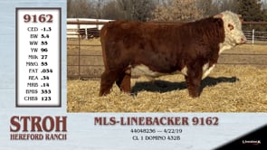 Lot #9162 - MLS LINEBACKER 9162