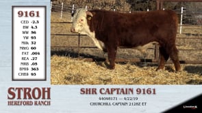 Lot #9161 - SHR CAPTAIN 9161