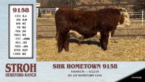 Lot #9158 - SHR HOMETOWN 9158
