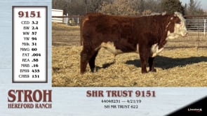 Lot #9151 - SHR TRUST 9151