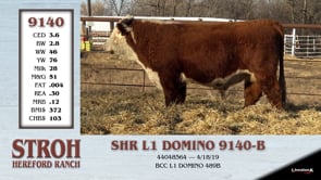 Lot #9140 - SHR L1 DOMINO 9140-B