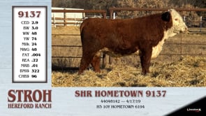 Lot #9137 - SHR HOMETOWN 9137