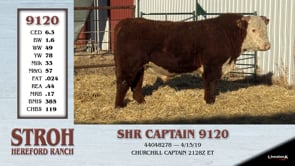 Lot #9120 - SHR CAPTAIN 9120