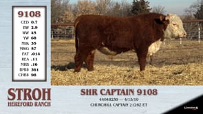 Lot #9108 - SHR CAPTAIN 9108