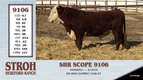 Lot #9106 - SHR SCOPE 9106