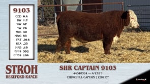 Lot #9103 - SHR CAPTAIN 9103
