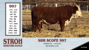 Lot #997 - SHR SCOPE 997