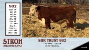 Lot #982 - SHR TRUST 982