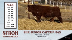 Lot #945 - SHR JUNIOR CAPTAIN 945