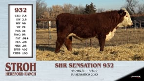Lot #932 - SHR SENSATION 932