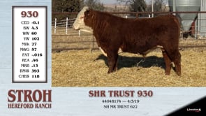 Lot #930 - SHR TRUST 930