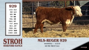 Lot #929 - MLS- RUGER 929