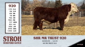 Lot #920 - SHR MR TRUST 920